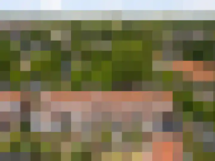 Pluvierenlaan 9 Bilthoven thumbnail 34