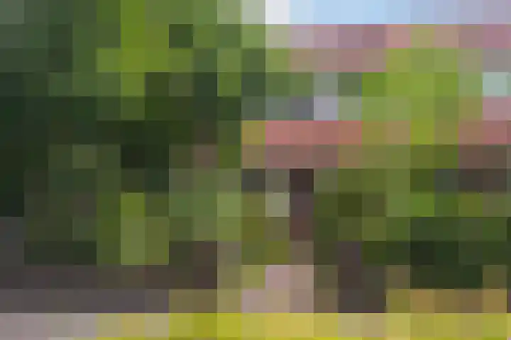 Pluvierenlaan 9 Bilthoven thumbnail 5