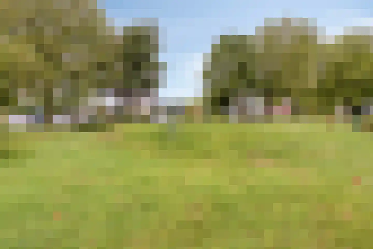 Pluvierhof 149 Hellevoetsluis thumbnail 32