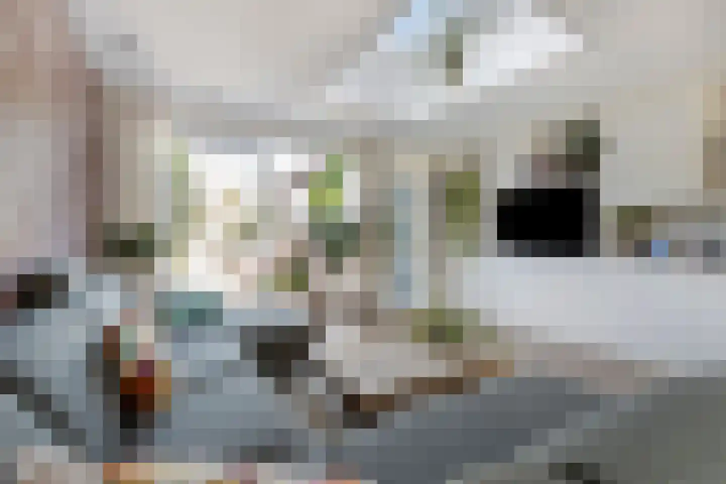 Pluvierplantsoen 15 Volendam thumbnail 10