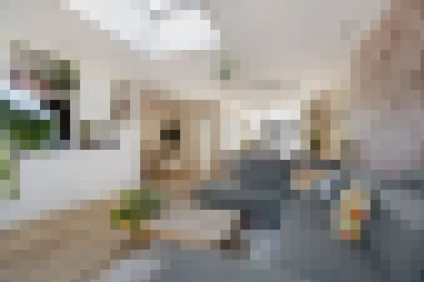 Pluvierplantsoen 15 Volendam thumbnail 12