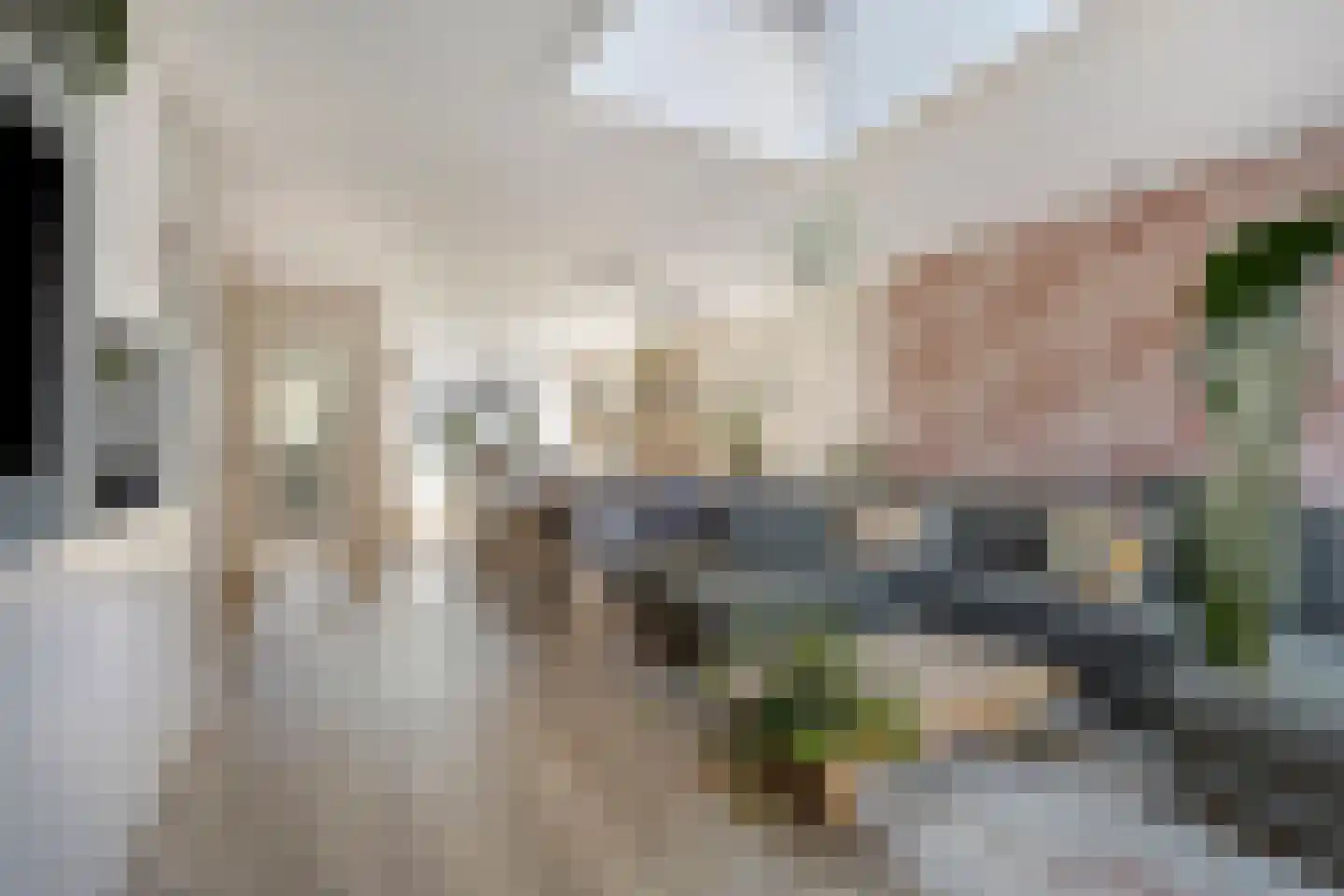 Pluvierplantsoen 15 Volendam thumbnail 13