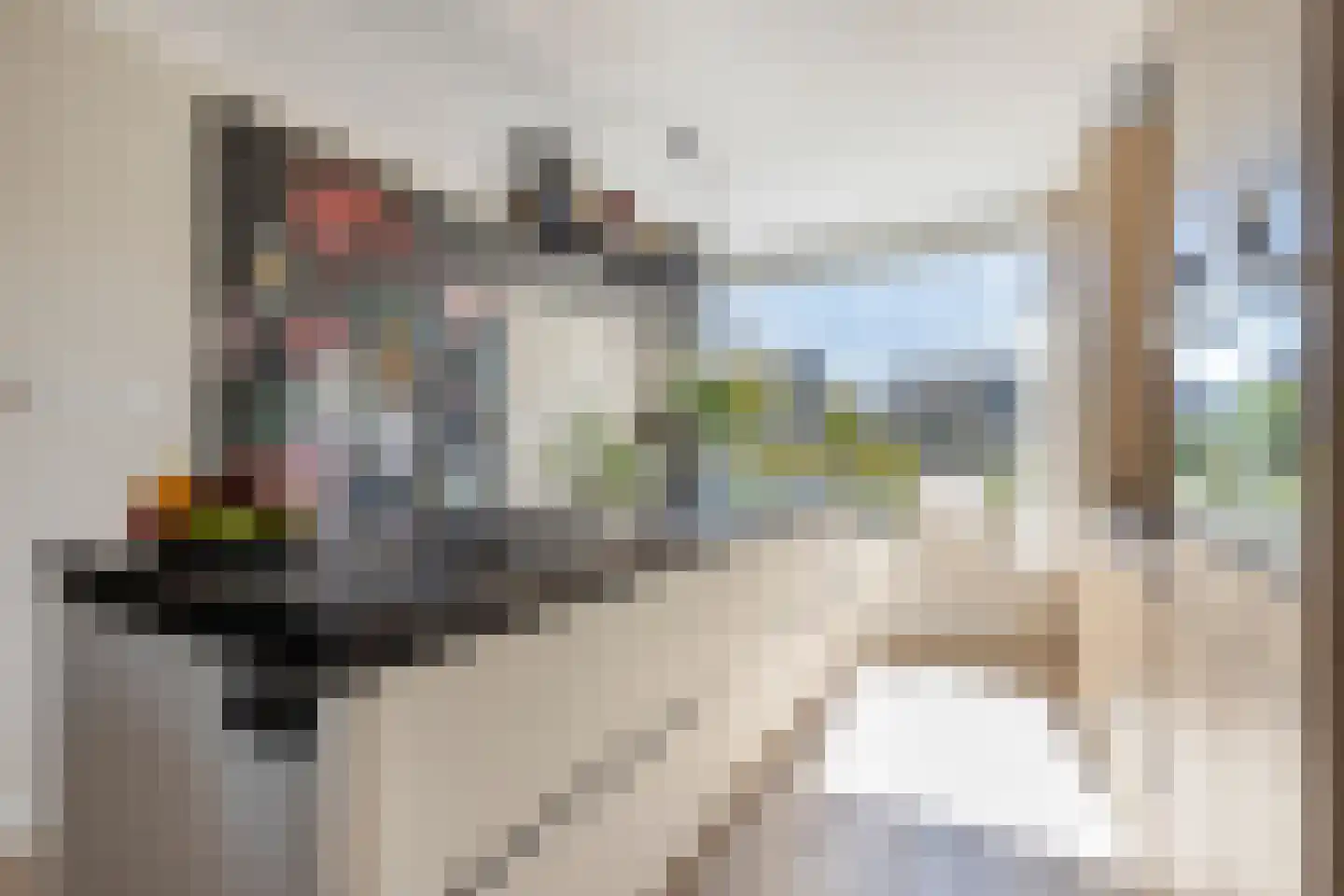 Pluvierplantsoen 15 Volendam thumbnail 17
