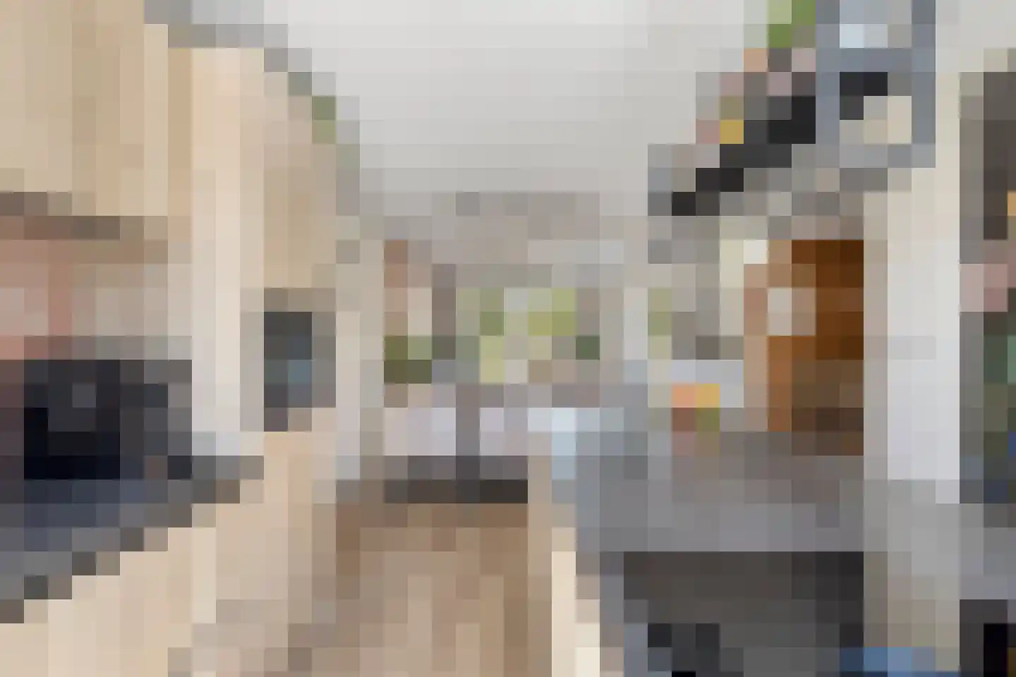 Pluvierplantsoen 15 Volendam thumbnail 18