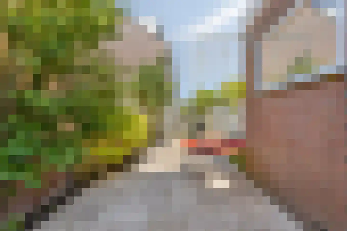 Pluvierplantsoen 15 Volendam thumbnail 22