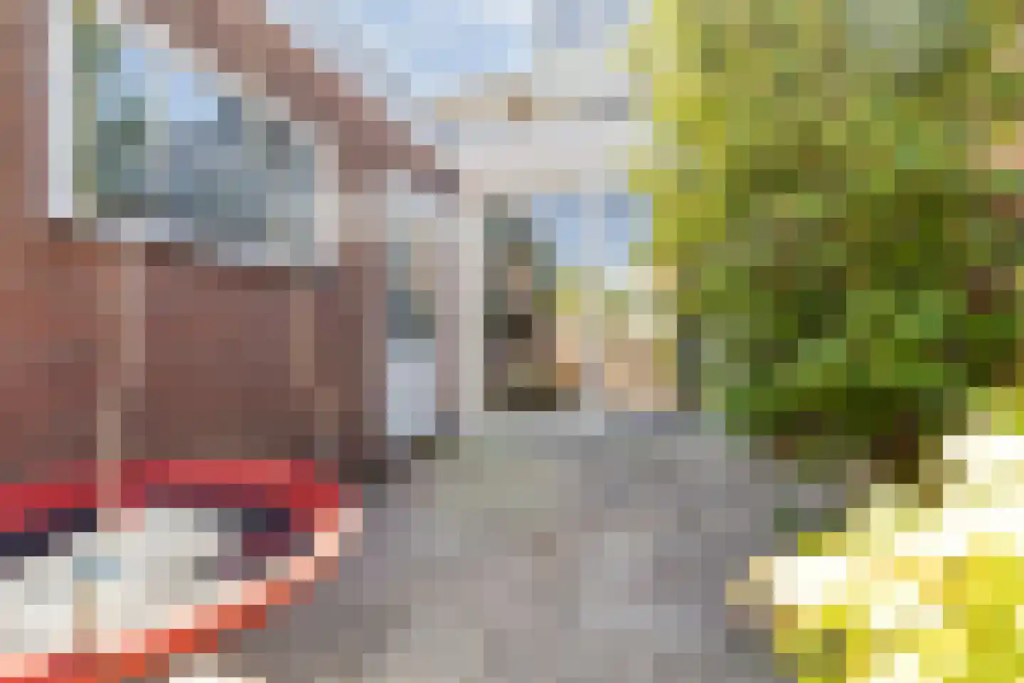 Pluvierplantsoen 15 Volendam thumbnail 23