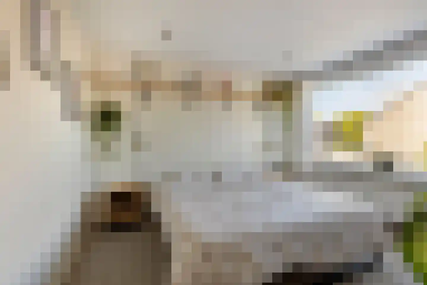 Pluvierplantsoen 15 Volendam thumbnail 30
