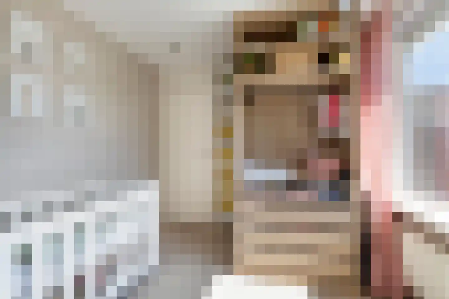 Pluvierplantsoen 15 Volendam thumbnail 34