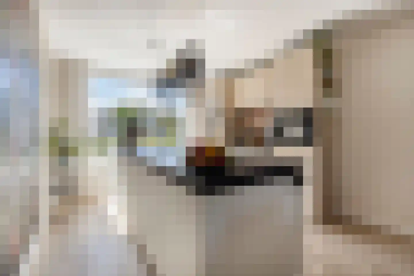 Pluvierplantsoen 15 Volendam thumbnail 4