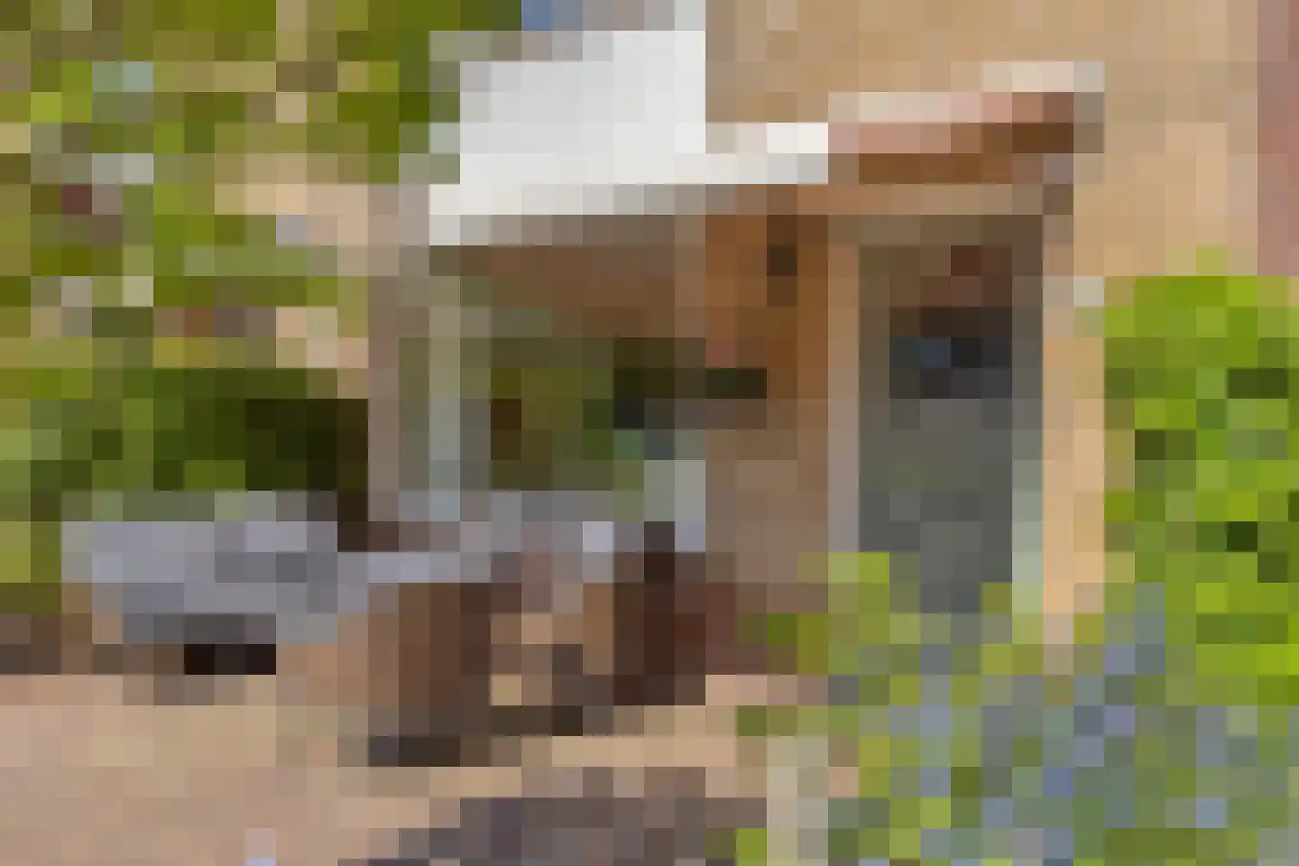 Pluvierplantsoen 15 Volendam thumbnail 6