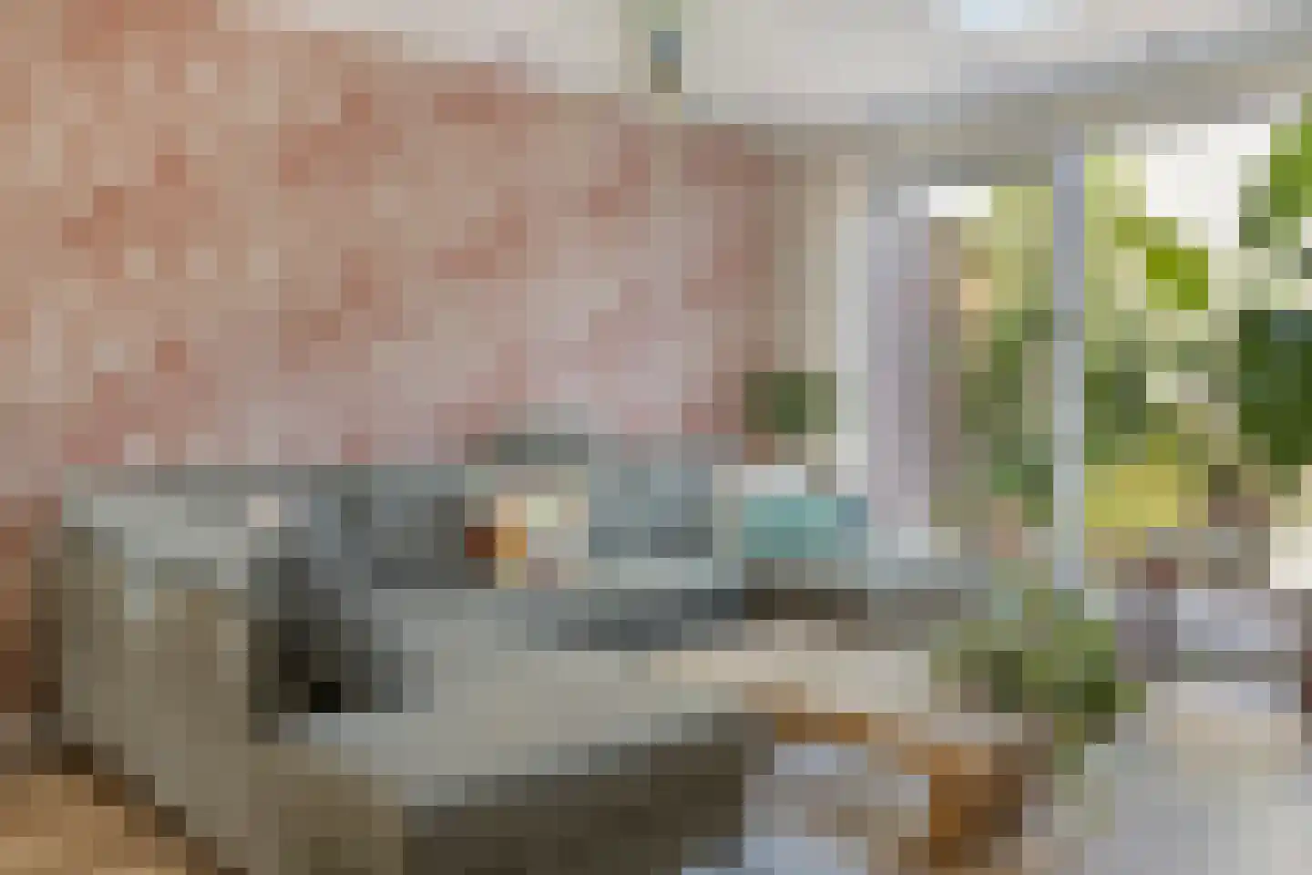Pluvierplantsoen 15 Volendam thumbnail 9