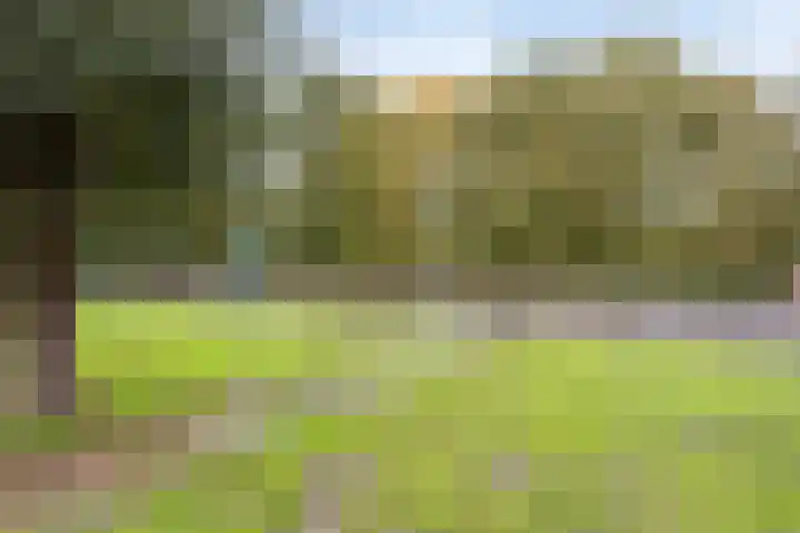 Pluvierstraat 14 Goor thumbnail 26