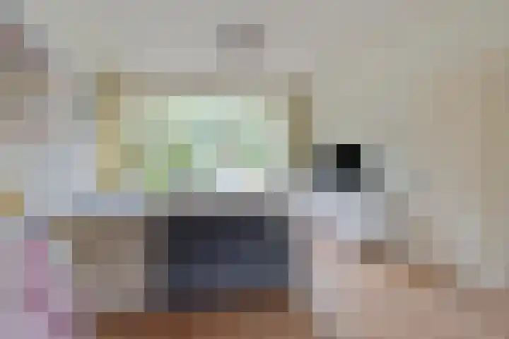 Pluvierstraat 14 Goor thumbnail 4
