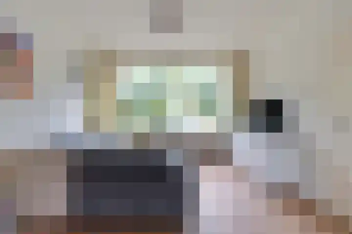 Pluvierstraat 14 Goor thumbnail 5