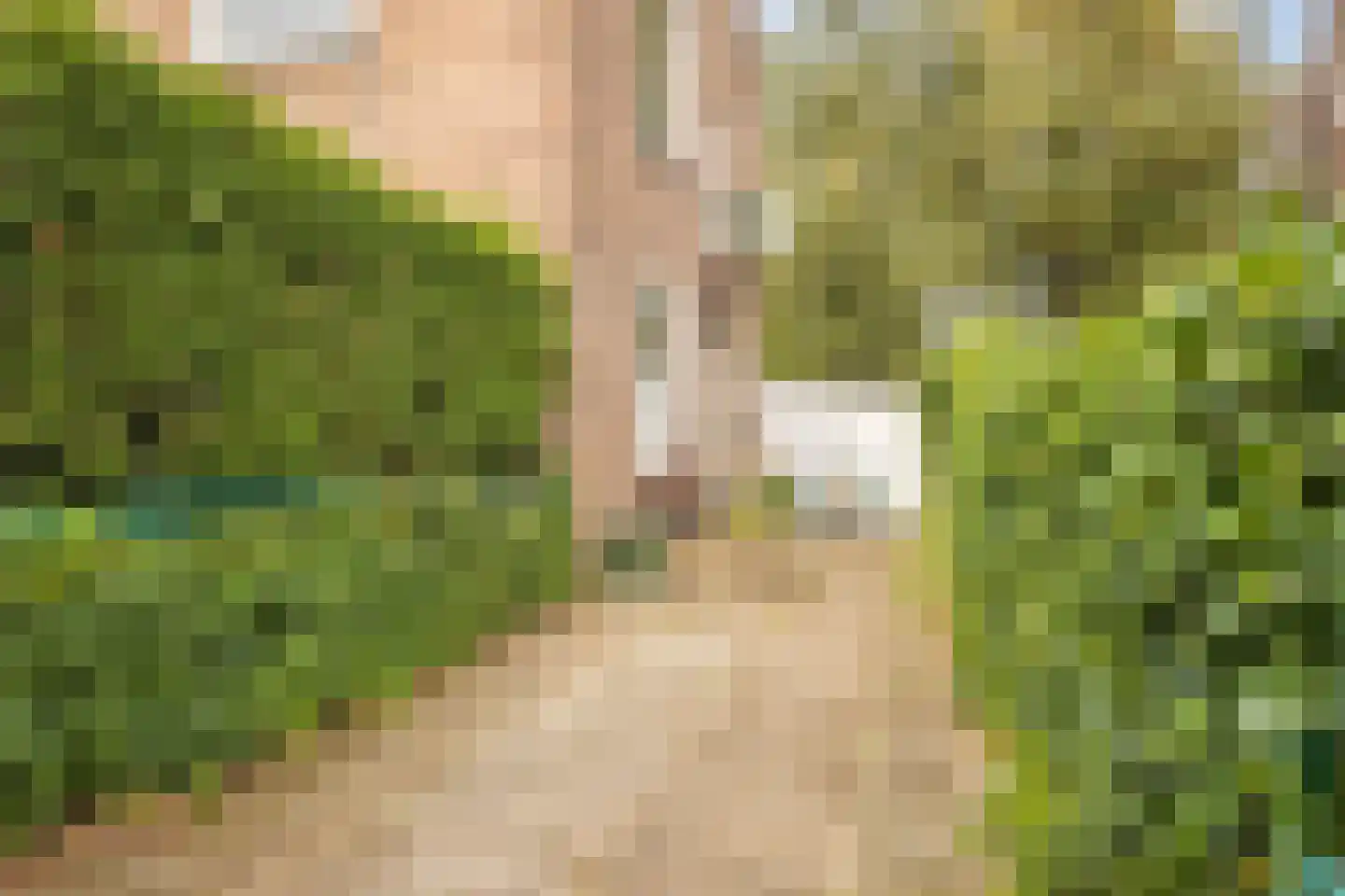 Pluvierstraat 21 Nijmegen thumbnail 4
