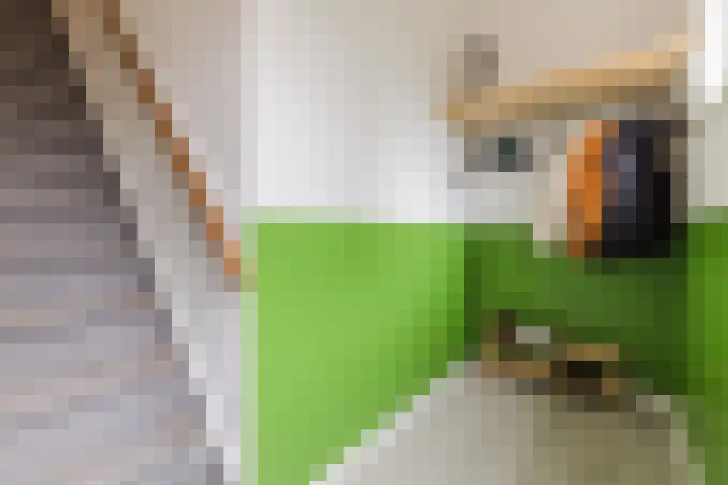 Pluvierstraat 21 Nijmegen thumbnail 5