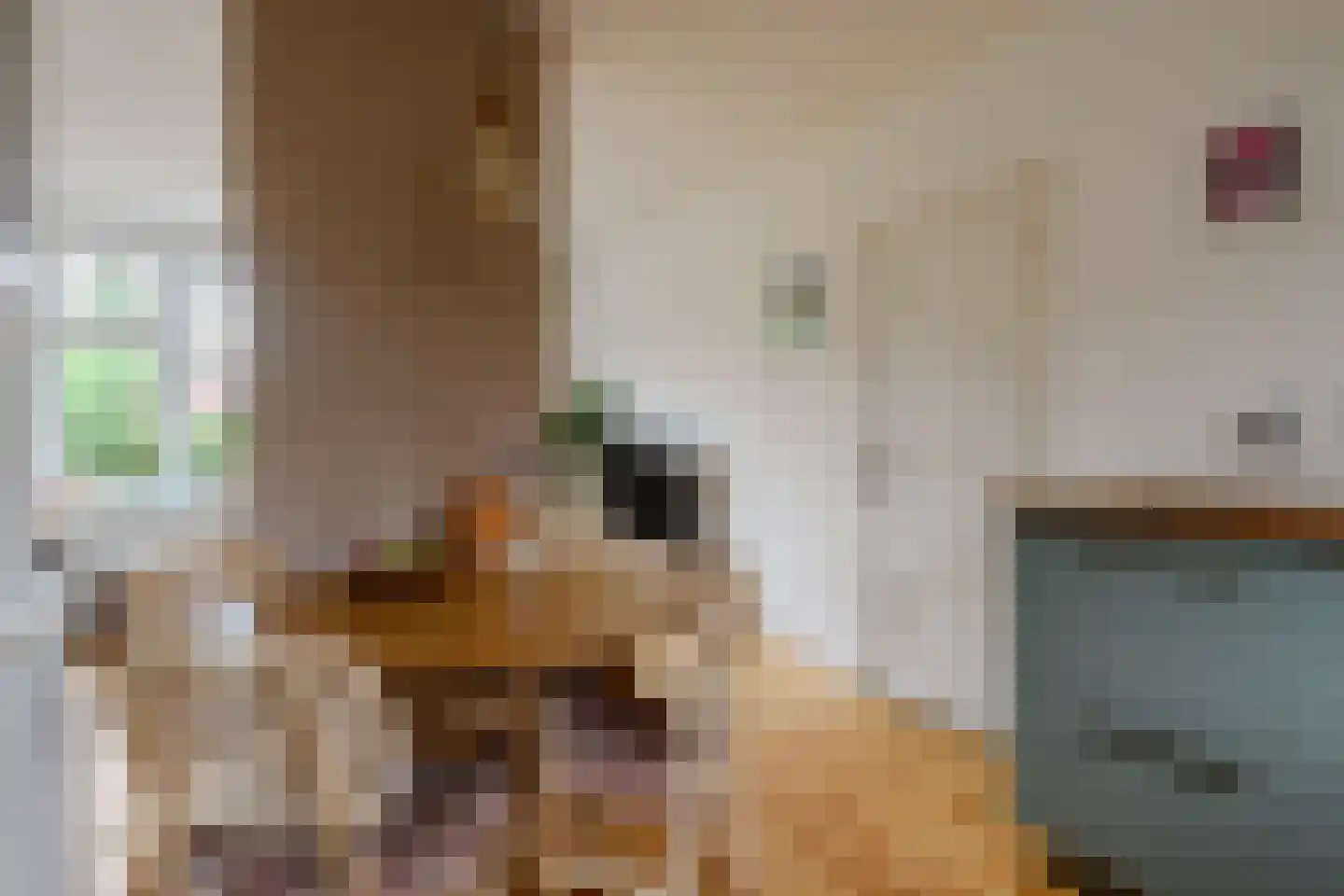 Pluvierstraat 3 Nijmegen thumbnail 17