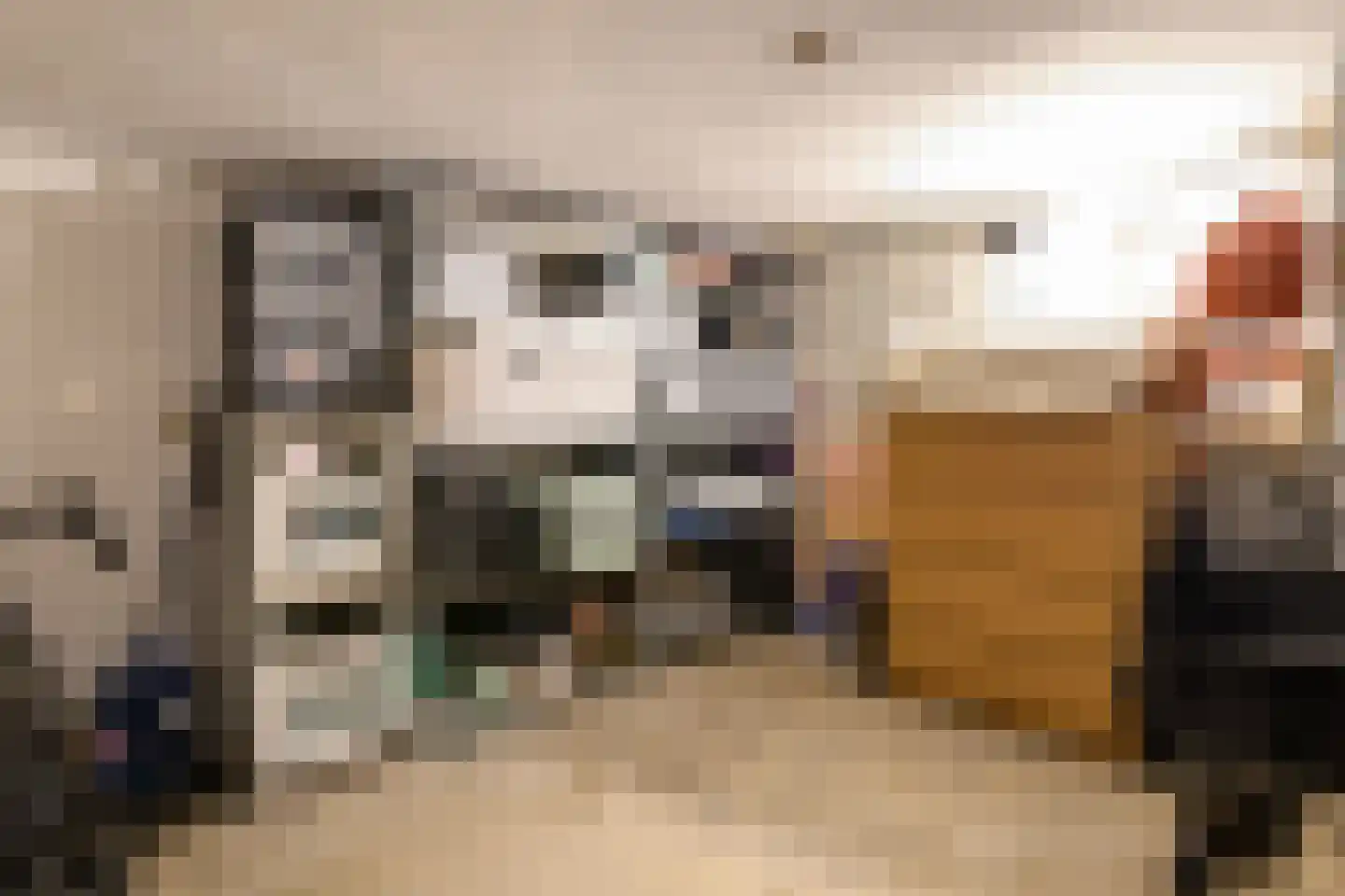 Pluvierstraat 3 Nijmegen thumbnail 31