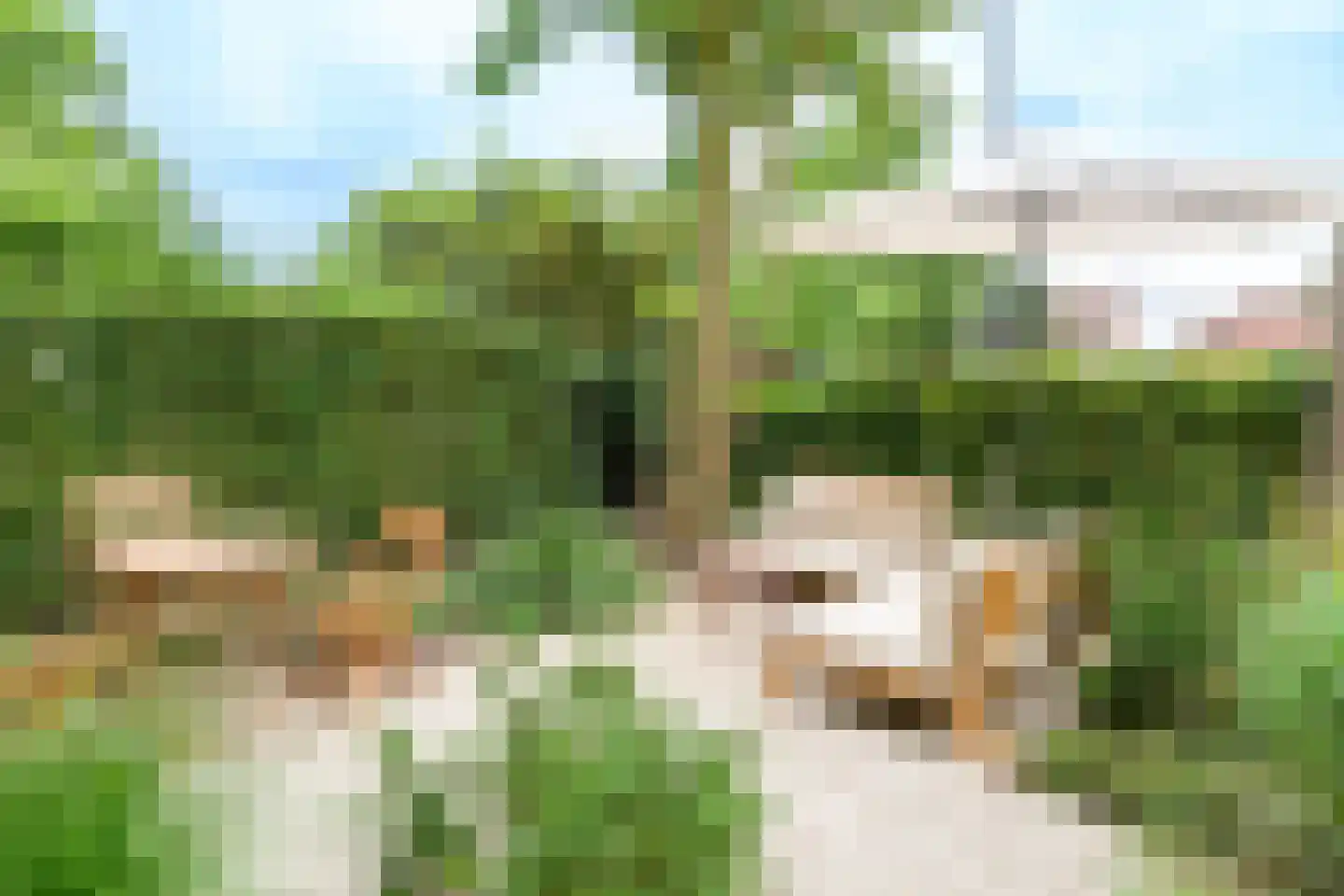 Pluvierstraat 3 Nijmegen thumbnail 5
