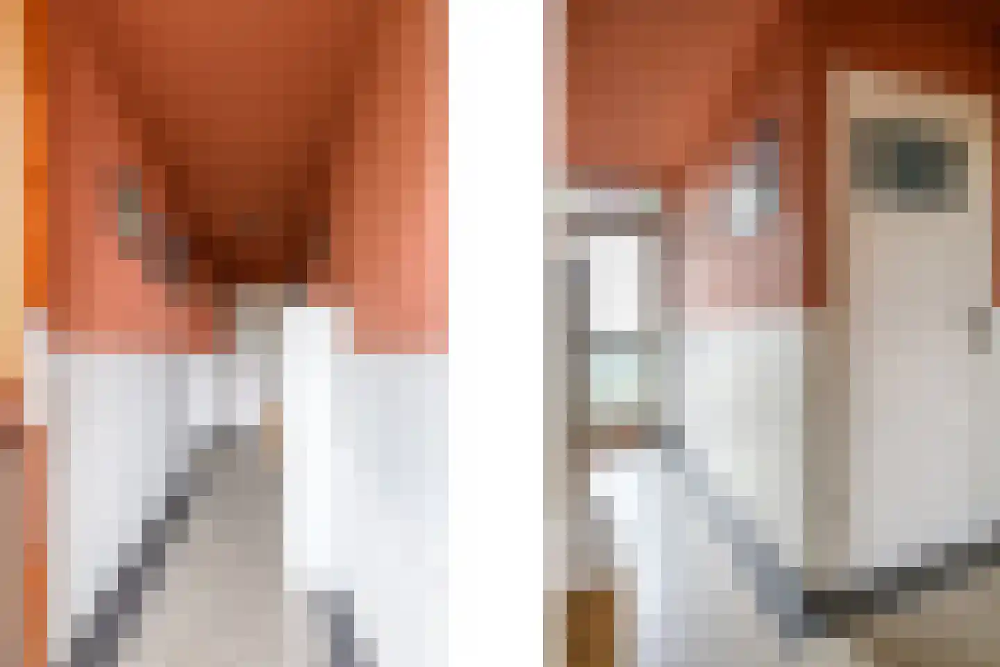 Pluvierstraat 3 Nijmegen thumbnail 7