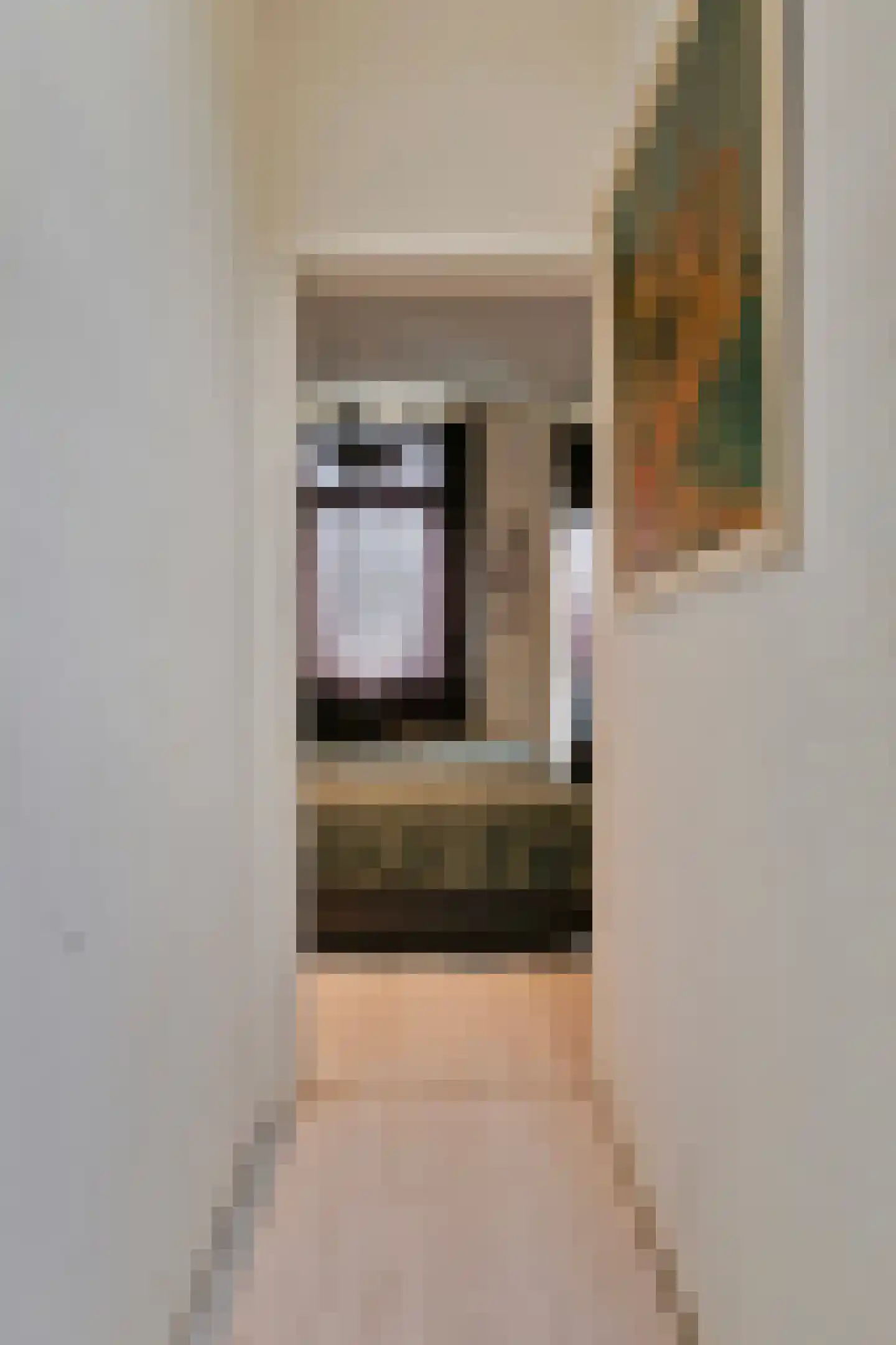 Pluvierstraat 324 Den Haag thumbnail 5