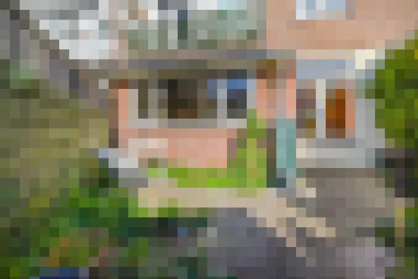Pluvierstraat 392 Den Haag thumbnail 24