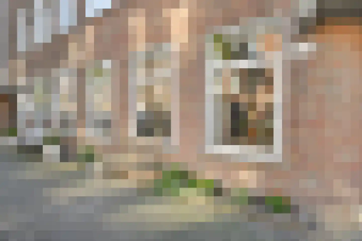 Pluvierstraat 392 Den Haag thumbnail 27
