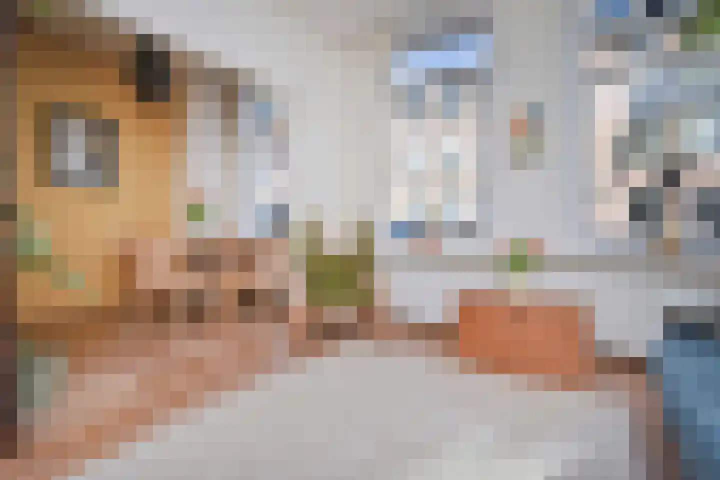 Pluvierstraat 392 Den Haag thumbnail 8