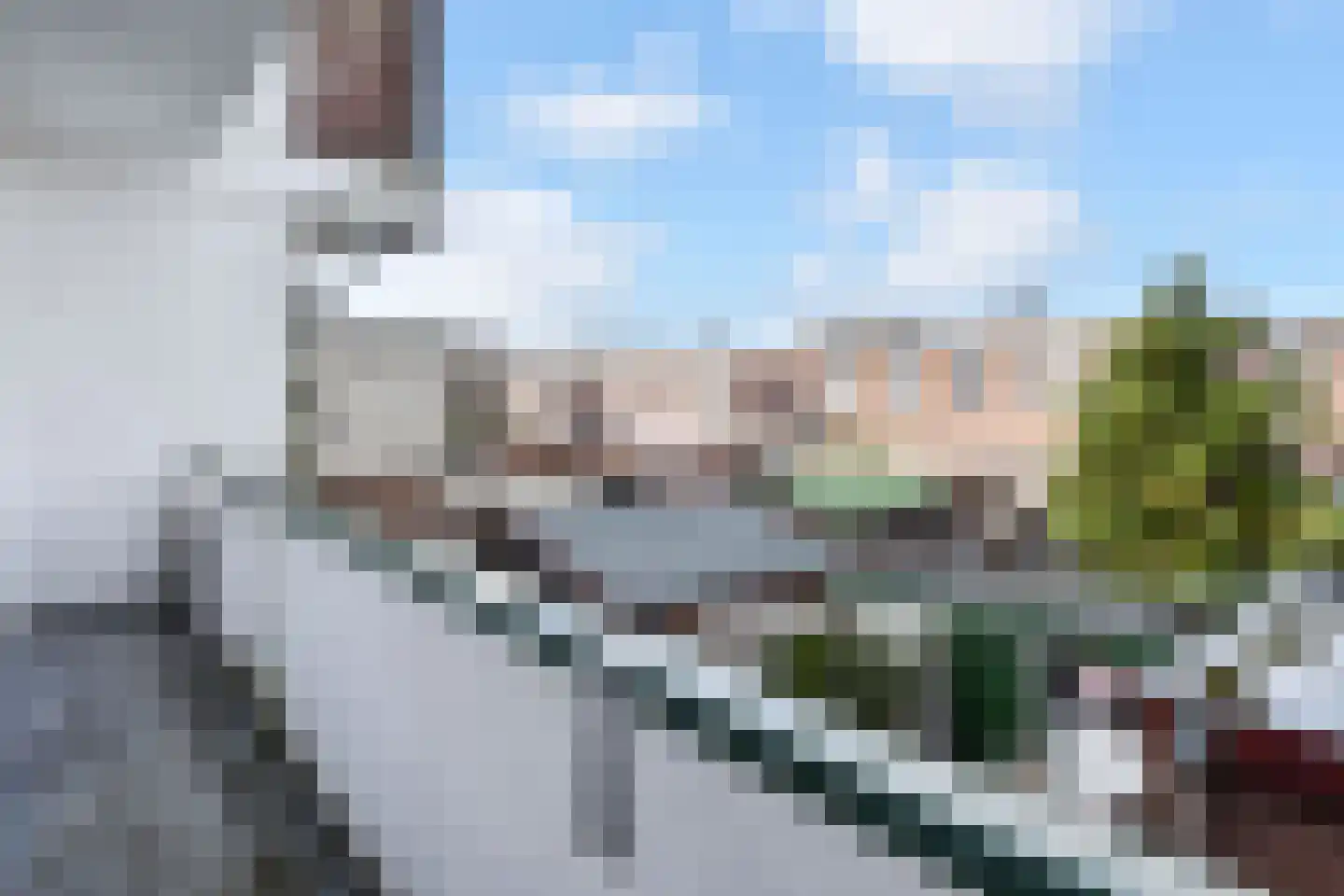Pluvierstraat 437 Den Haag thumbnail 18