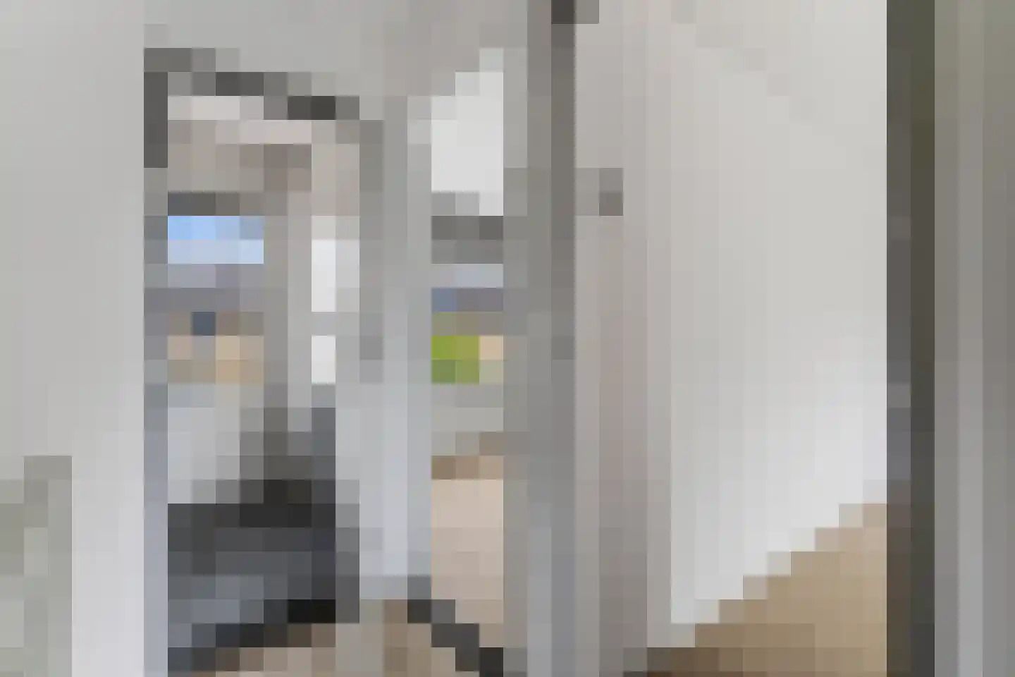 Pluvierstraat 6 Geldrop thumbnail 12