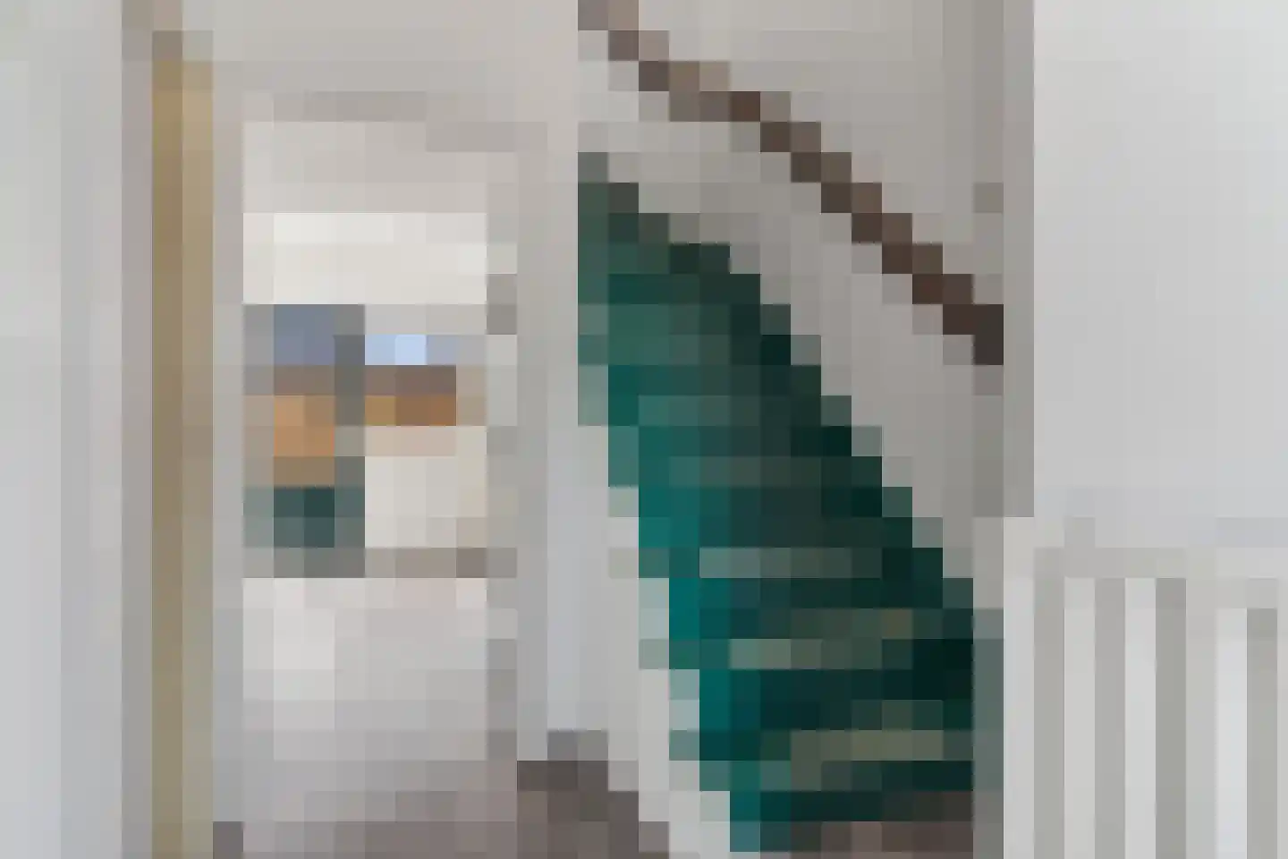 Pluvierstraat 6 Geldrop thumbnail 4