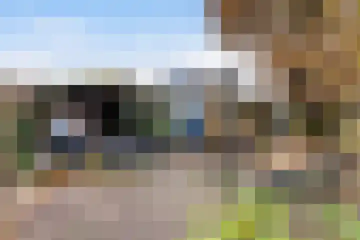Pluviusstraat 1 Apeldoorn thumbnail 30