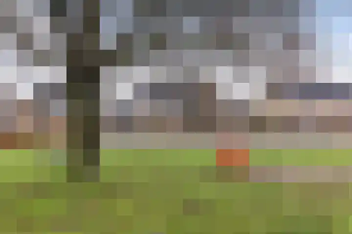 Pluviusstraat 1 Apeldoorn thumbnail 5
