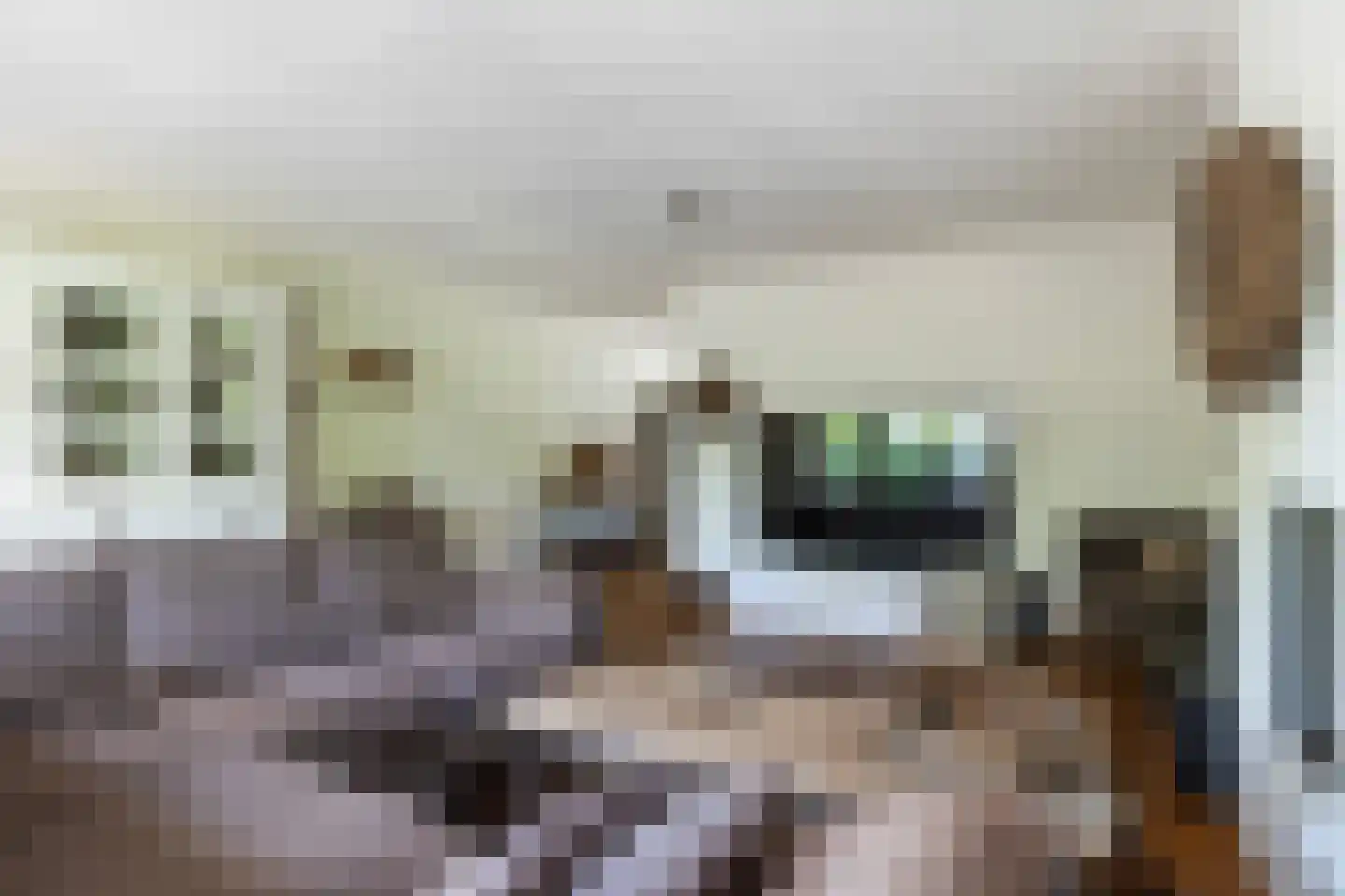 Pluviusstraat 31 Apeldoorn thumbnail 14