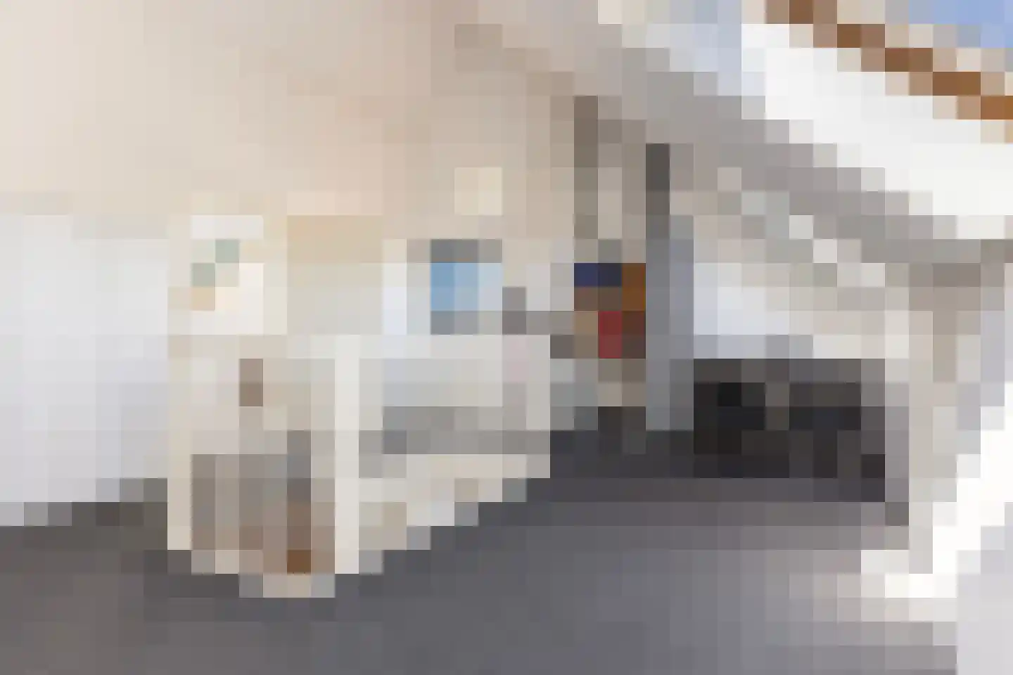 Pluviusstraat 31 Apeldoorn thumbnail 33