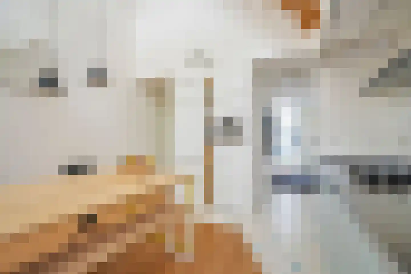 Pluympot 12 Delft thumbnail 13