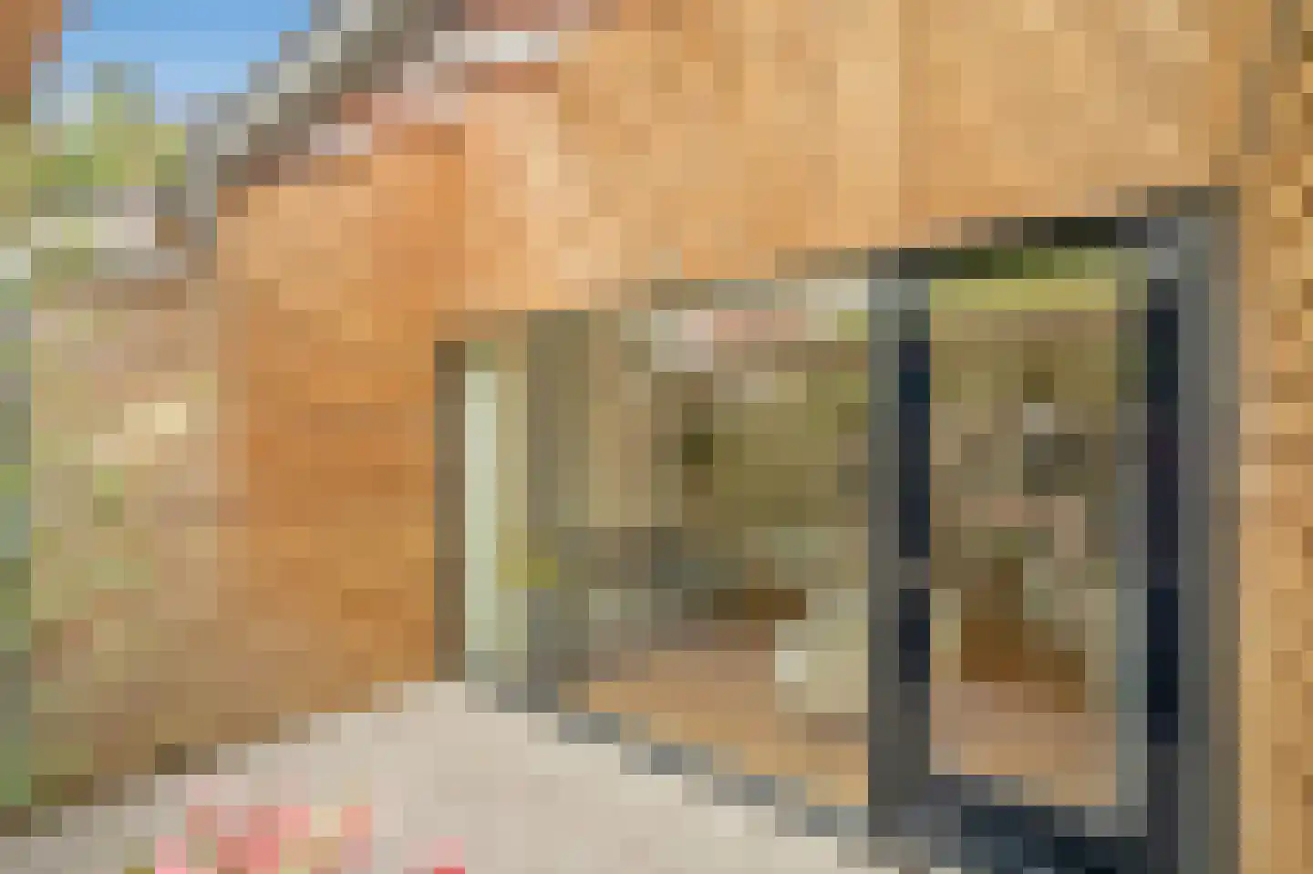 Pluympot 12 Delft thumbnail 21