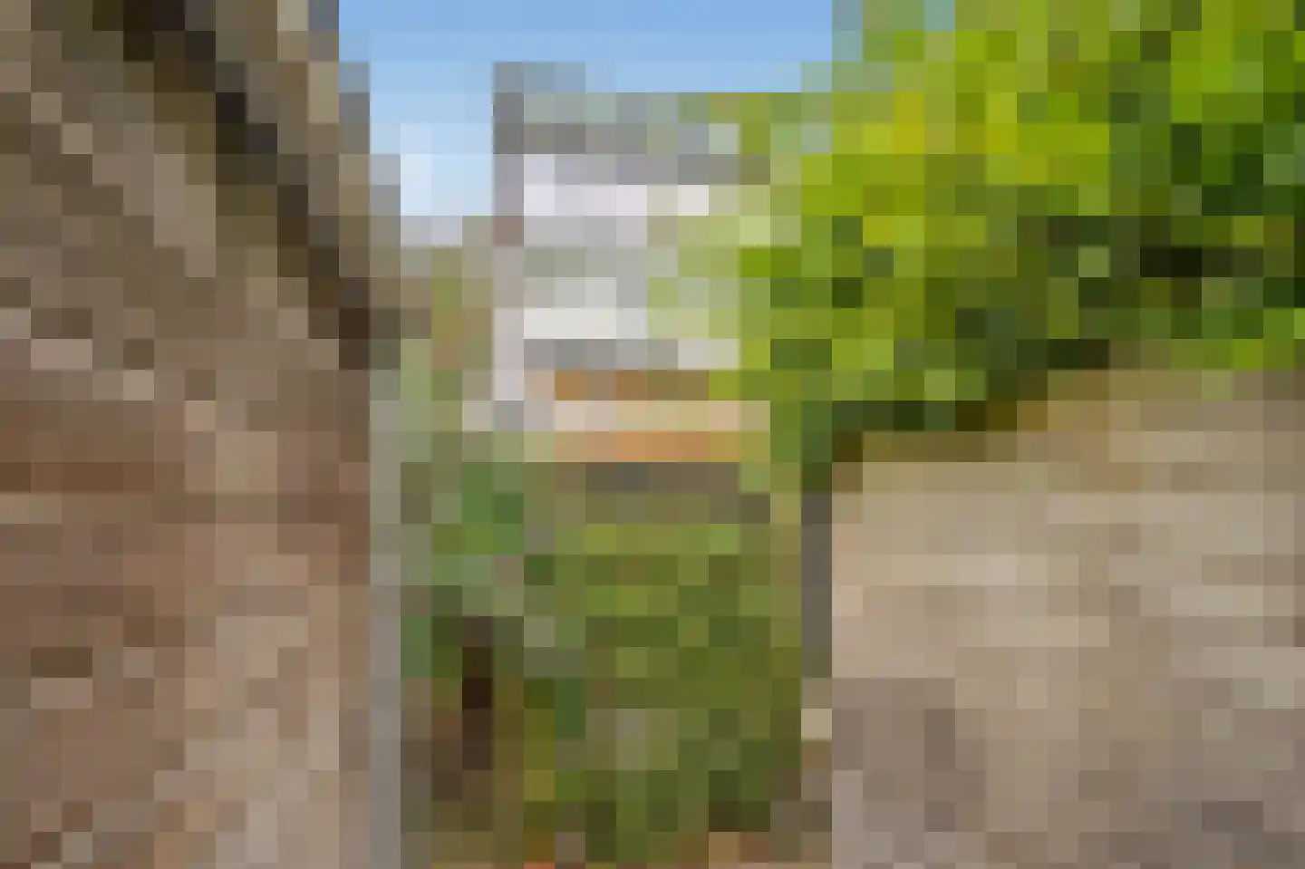 Pluympot 12 Delft thumbnail 22