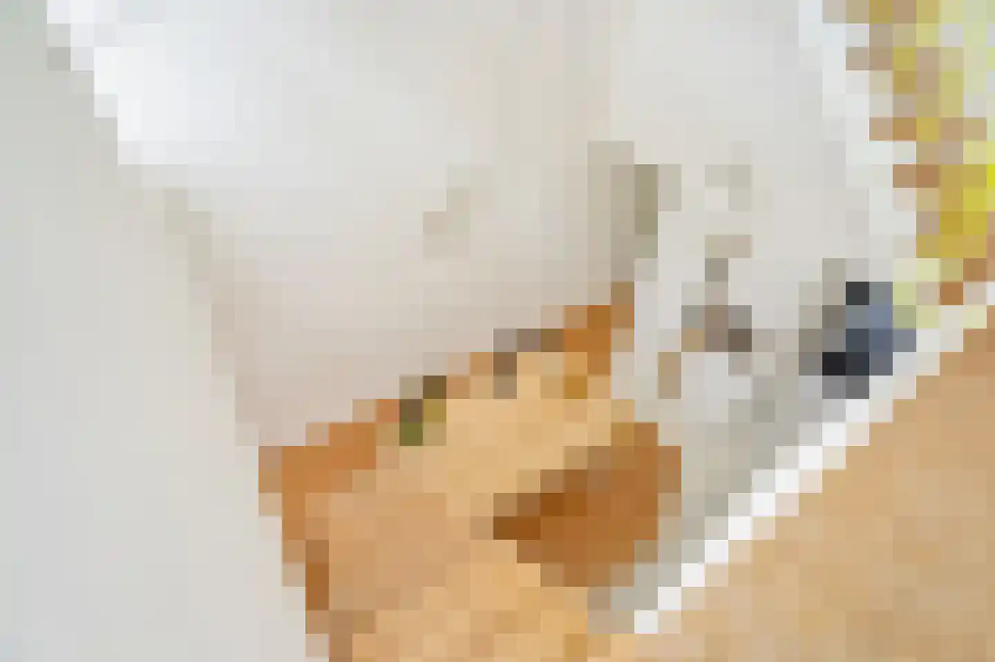 Pluympot 12 Delft thumbnail 24