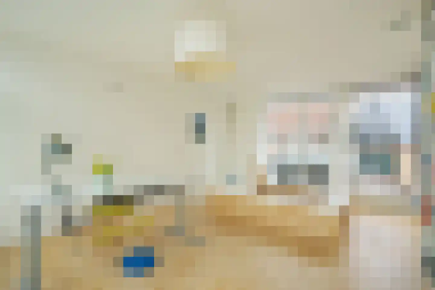 Pluympot 12 Delft foto 3