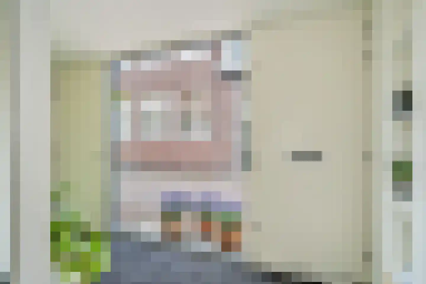 Pluympot 12 Delft thumbnail 8