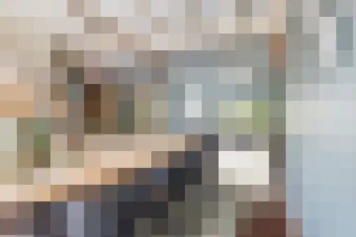 Poaitrije 12 Hijum thumbnail 11