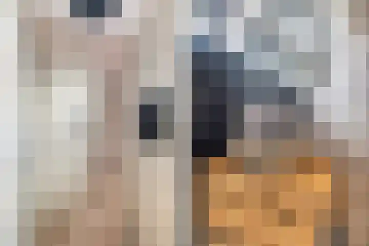 Poaitrije 12 Hijum thumbnail 21