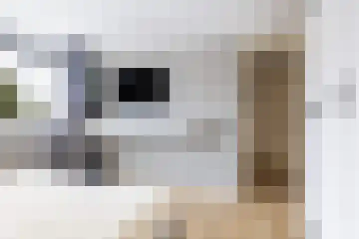 Poaitrije 12 Hijum thumbnail 26