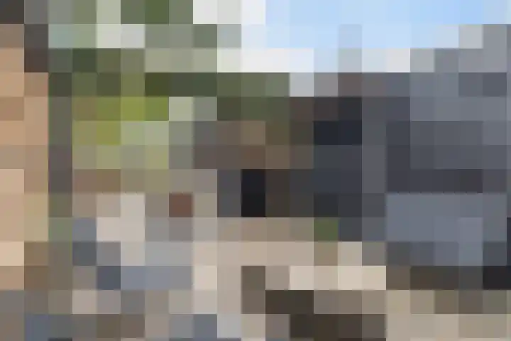 Poaitrije 12 Hijum thumbnail 35