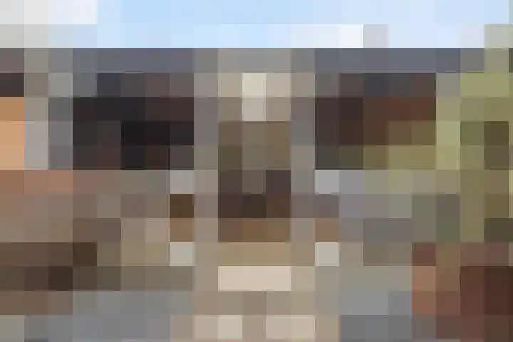 Poaitrije 12 Hijum thumbnail 38