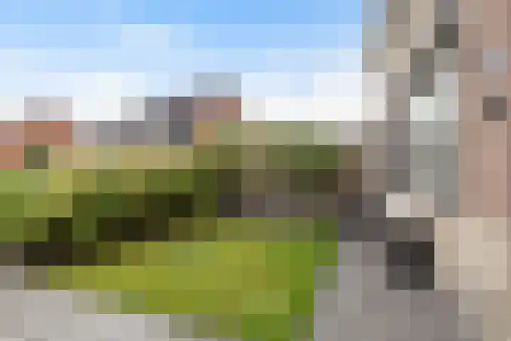 Poaitrije 12 Hijum thumbnail 43