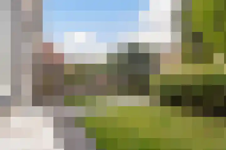 Poaitrije 12 Hijum thumbnail 44