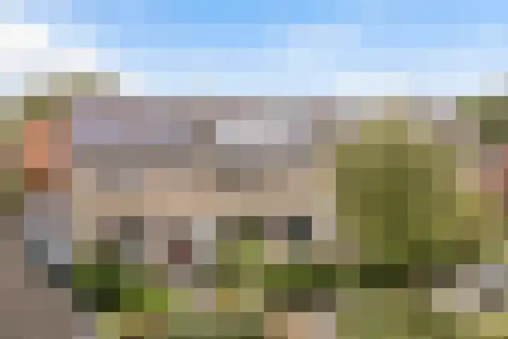 Poaitrije 12 Hijum thumbnail 45