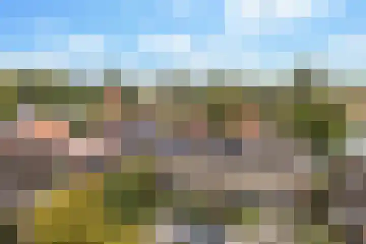 Poaitrije 12 Hijum thumbnail 51